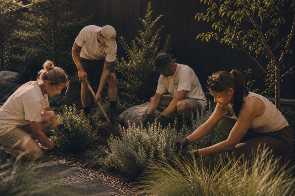 The SurrealScapes team planting a garden bed at dusk